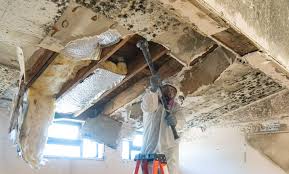 Asbestos and Lead Testing During Mold Inspection in Syosset, NY